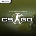csgo毛子单机版全皮肤最新版下载 
