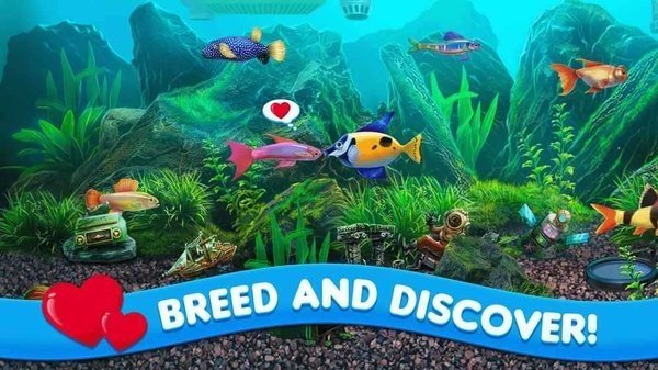 养鱼大亨2中文版