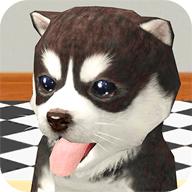 我的萌宠世界熊猫宝宝