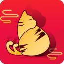 橘猫势力