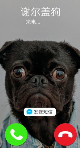 假装来电模拟器 v1.0