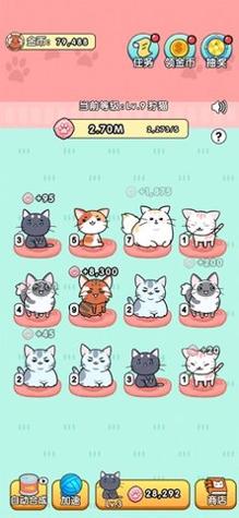 我的小猫花花截图2