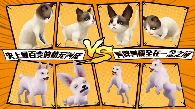 宠物天团截图3