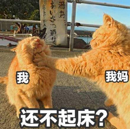 放假在家我的日常表情包截图1