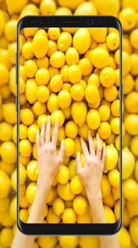 柠檬壁纸 v3.0.5