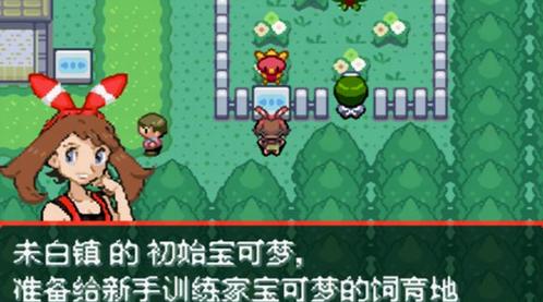 口袋妖怪究极绿宝石5.3最新版中文版手机版 截图1