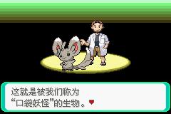 口袋妖怪漆黑的魅影截图2