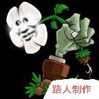 植物大战僵尸鉴版