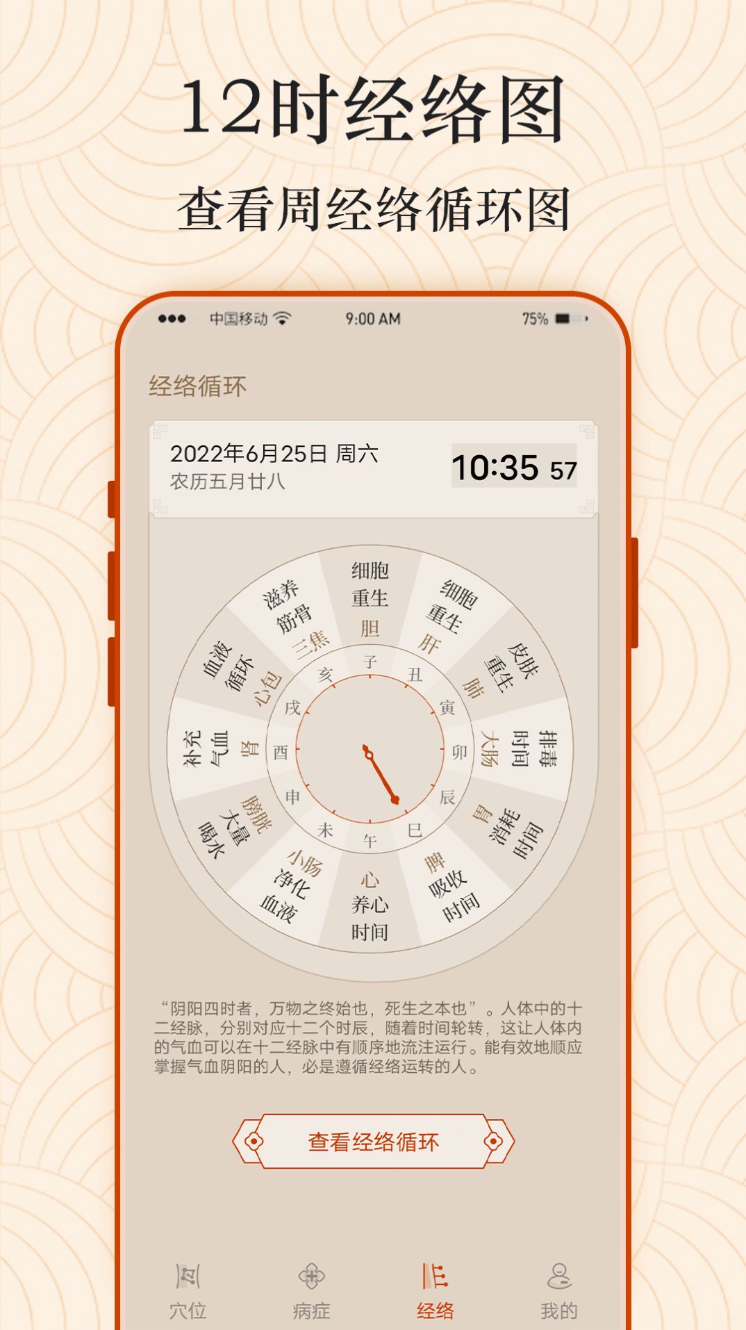 Ai经络穴位图截图1
