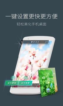 3d蘑菇梦象动态壁纸.jpg
