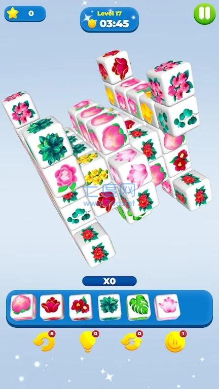花朵立方Flower CubeQuest截图0
