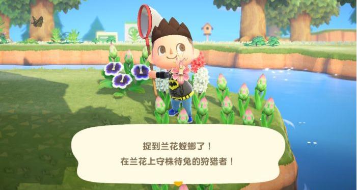 动物森友会  v5.4.1