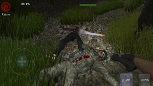 zuihyghzdr.jpg