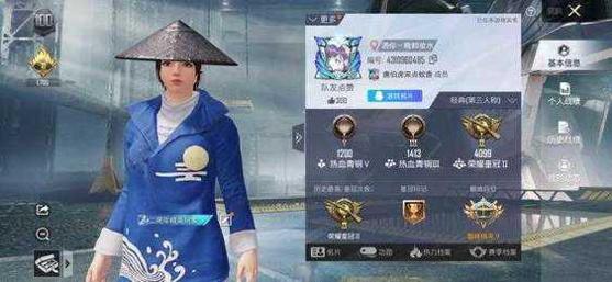 和平精英凉鹤美化包