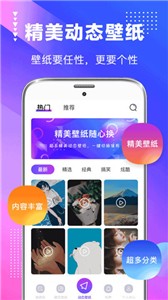 壁纸主题截图2
