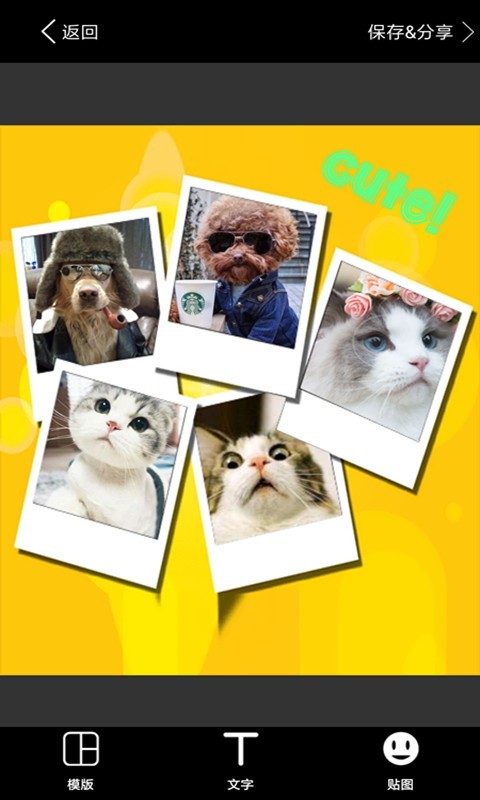 美图拼图P图 版本：v1.9