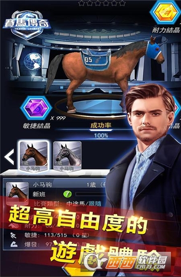 赛马传奇