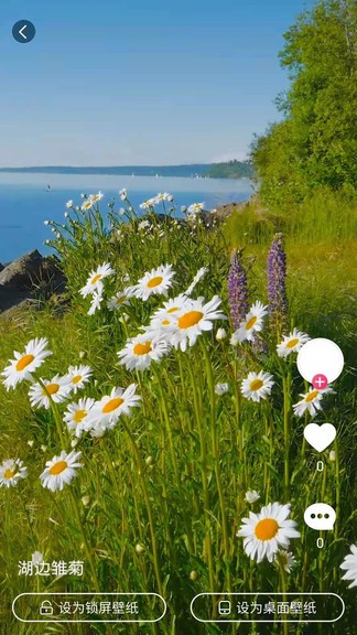 小鸟壁纸 版本：v2.0.0