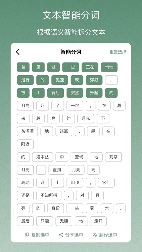 青松扫描