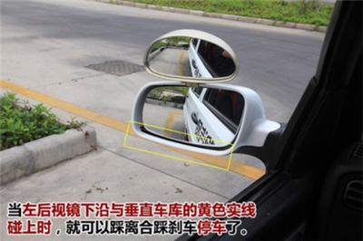 小鹿学车