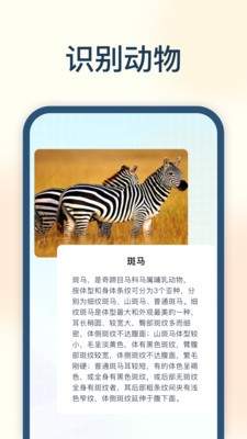 试卷星 v1.0.0.0