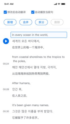 翻外字幕 v1.1.4