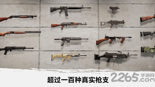 绝地吃鸡荒野求生手游 v1.1 安卓版