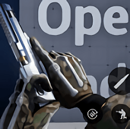 cod19m游戏(处决系统)