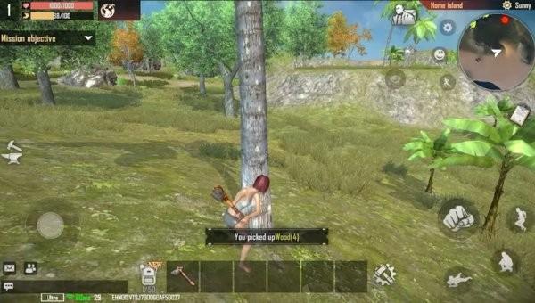 代号岛屿游戏(Project Island) v1.1.16 安卓版