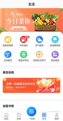 海南政务服务网新版
