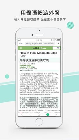彩云小译精简版