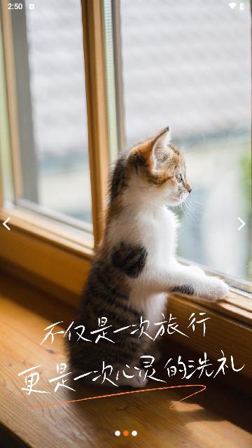 派到app安卓版