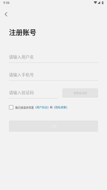寸心闪传手机版