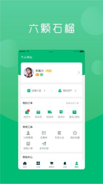 六棵石榴图片