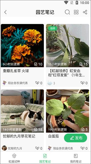 虹越APP图片5
