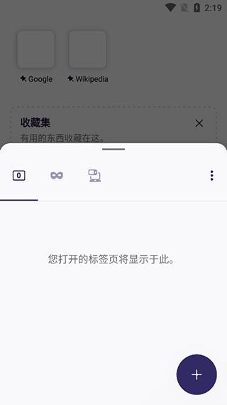 Iceraven浏览器图片6