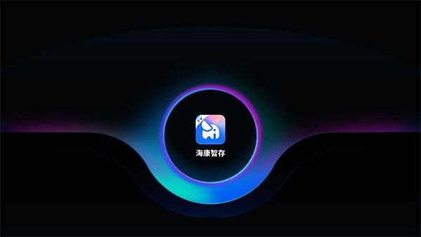 海康智存4