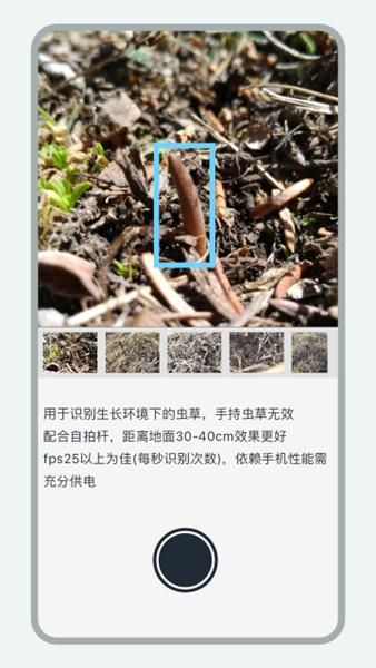 乐见虫草2