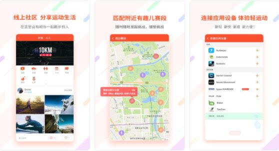 郁金香运动图片