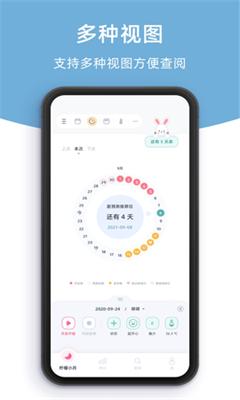 柠檬小月