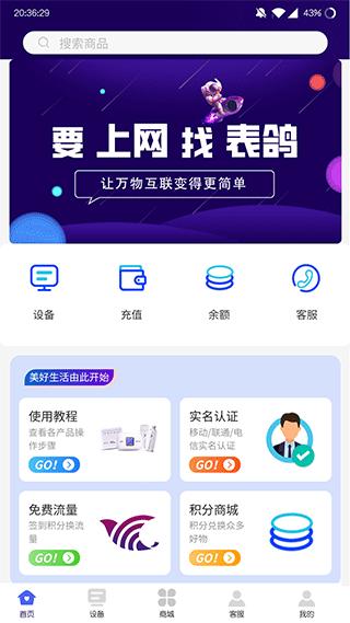 表鸽1