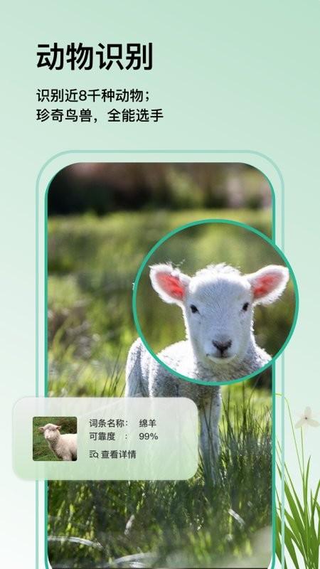 万物识图app最新版