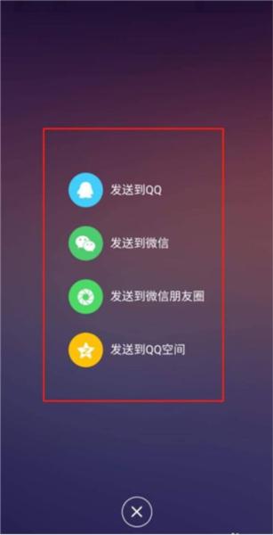 芝麻鲸选图片10