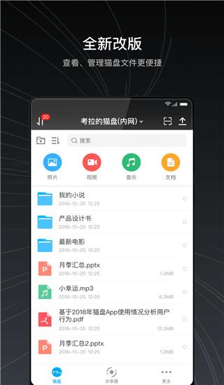 猫盘