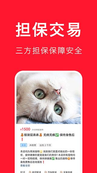 宠物宝2