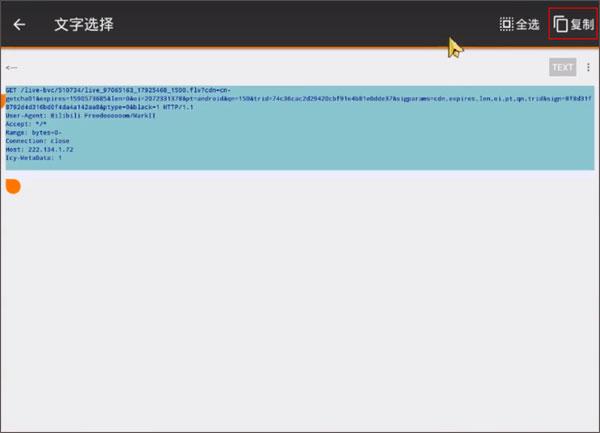 Packet Capture图片8