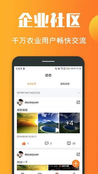 老刀学霸图片