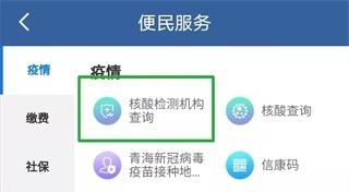 青松办11