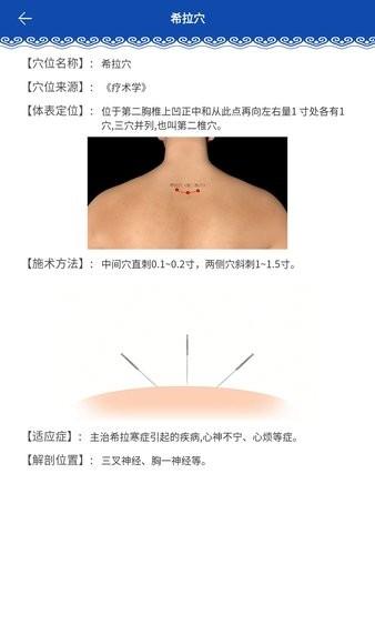 蒙医穴位标准化信息系统图片