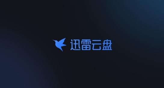 迅雷云盘图片1